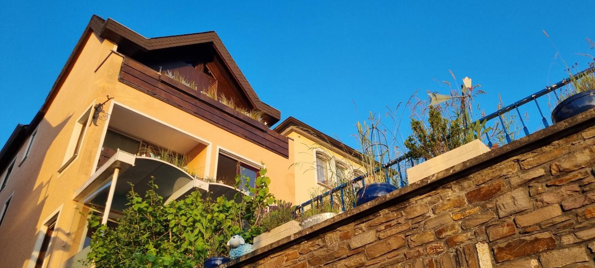 Pension Regina Cochem Bagian luar foto