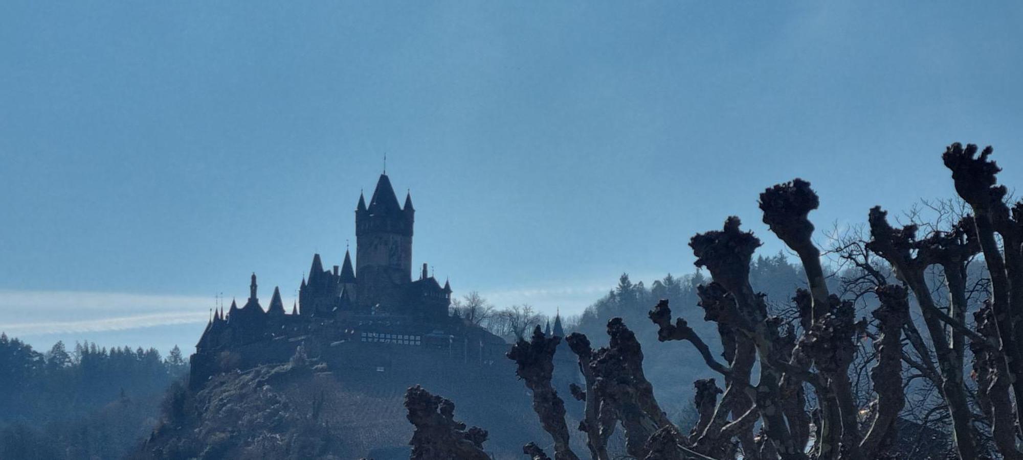 Pension Regina Cochem Bagian luar foto
